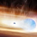 A star torn apart by a black hole lit up the Universe twice